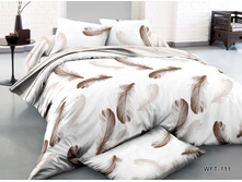 ����������� (2).jpg