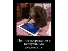 ������ ���������� � ����������� ����������