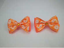 ����� �� ������� ������ ���������