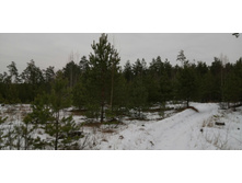 IMG 20191207 114752.jpg