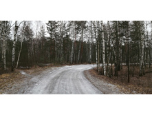 IMG 20191228 115230.jpg