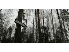 IMG 20191222 113155.jpg