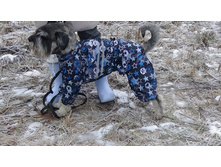 ����������� viber 2019-12-15 21-50-08.jpg