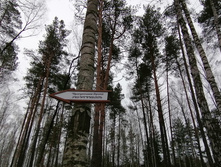 IMG 20191222 112216.jpg