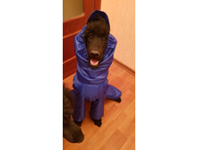 ����������� viber 2019-12-17 22-19-19.jpg