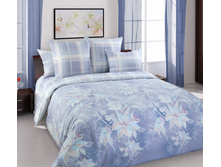 �������6 - �����.jpg