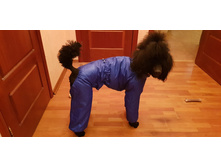 ����������� viber 2019-12-17 22-19-21.jpg