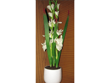 ���� � ������-1.PNG