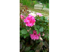 ����������