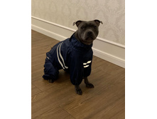 ����������� viber 2019-12-12 08-30-43.jpg