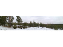 IMG 20191207 112533.jpg