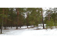 IMG 20191207 111215.jpg