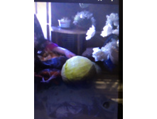 ����� 2..........................jpg