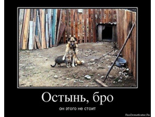 ������, ���. �� ���� �� �����.