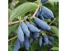 ��������� ������� �������� ��������, 159��� (�������� 5��).jpeg