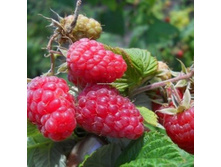 ����� �������� ������ ��������, 119��� (�������� 5��).jpeg