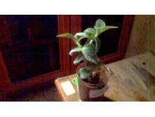 ������������ ������������