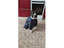 ����������� viber 2019-12-11 13-32-43.jpg