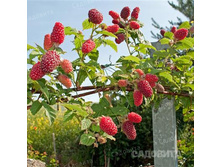 ������ ��������� ������ ��������, 169��� (�������� 6��).jpg