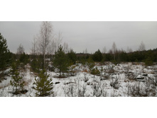 IMG 20191207 114854.jpg