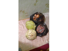 ����� 2...jpg