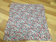 ������ ����