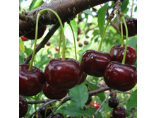 ����� ��������� ��������, 289��� (�������� 5��).jpeg