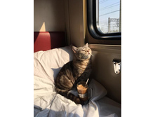 ���� � ������ �� ���� ����������