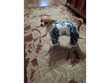 ����������� viber 2019-12-15 12-52-20.jpg