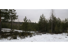 IMG 20191207 112408.jpg