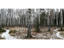 IMG 20191222 112719.jpg