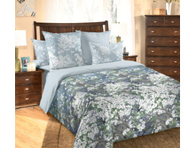 ���� �����.jpg