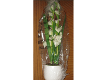 ���� � ������-5.PNG