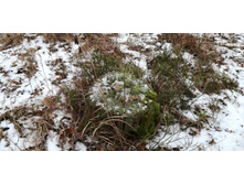 IMG 20191222 112612.jpg