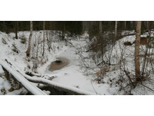 IMG 20200104 122001.jpg