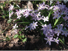 ���������� �����