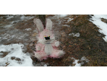 IMG 20200118 144306.jpg