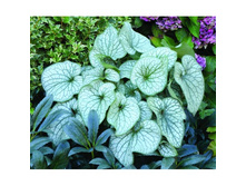 ����������� �����-����+22�