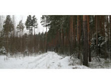 IMG 20200112 100150.jpg