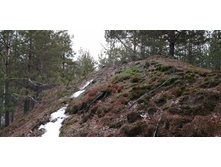 IMG 20200118 135320.jpg