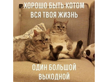 ������ ���� �����. ��� ���� ����� ���� ������� ��������.