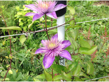 �������� ������ ���