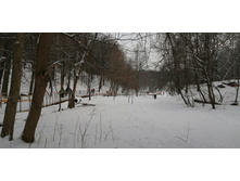 IMG 20200105 123421.jpg