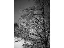 244606631-img 20190222 212853.jpg