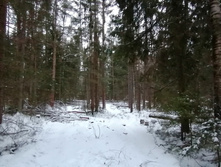 IMG 20200106 153306.jpg