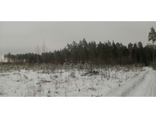 IMG 20200112 111745.jpg