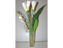 ����� � �����-7.JPG