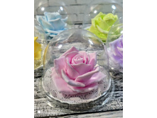 ���� � ������