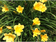 �������� ������ �� ���