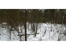 IMG 20200108 111706.jpg